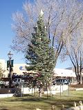 Trauriger Weihnachtsbaum im historischen Plaza in Taos